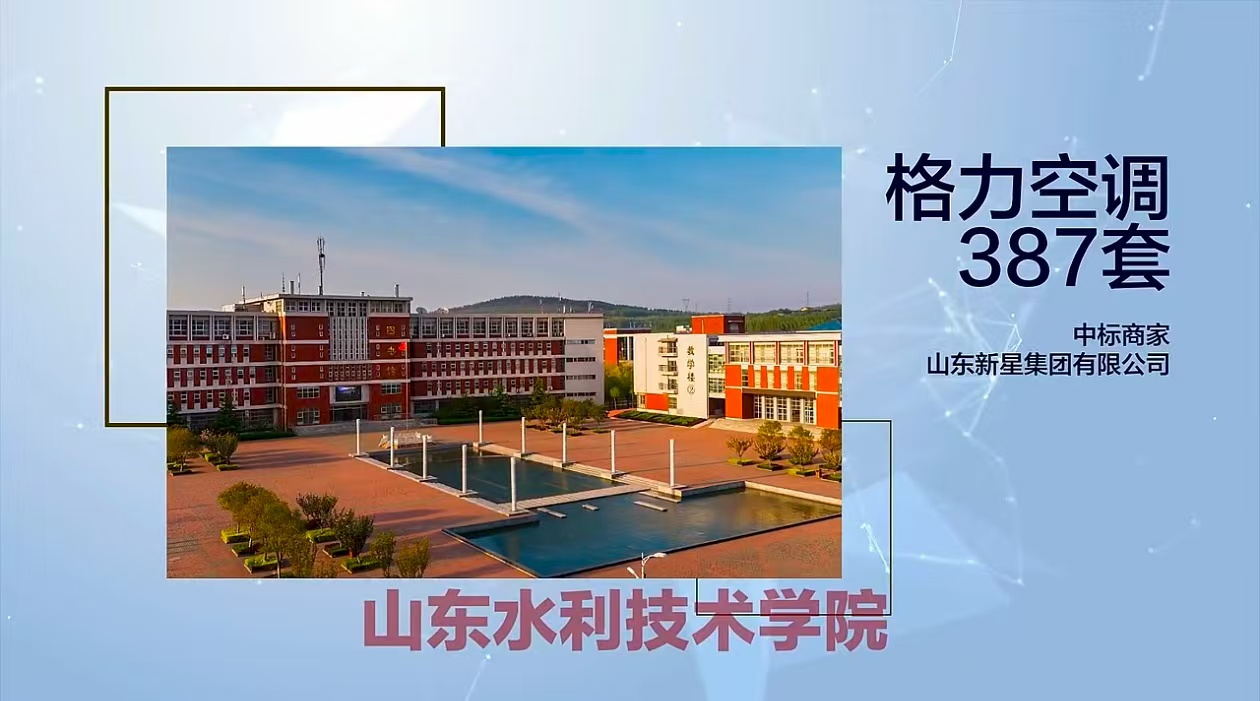 案例展示三